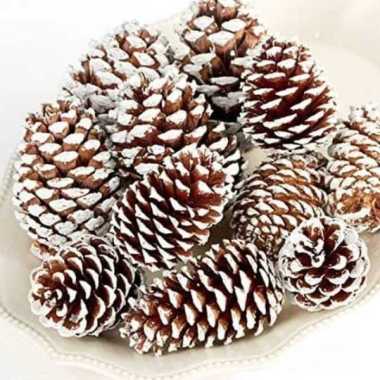 Bunga Pinus Salju Mekar Kembang Biji Pinus Hiasan Bunga Kering Dekorasi Rumah Pine Tree Cone Polos S