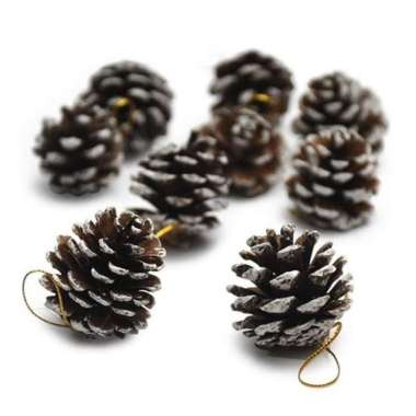 Bunga Pinus Salju Mekar Kembang Biji Pinus Hiasan Bunga Kering Dekorasi Rumah Pine Tree Cone Pinus T