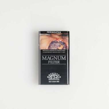 Dji sam soe sp magnum filter 12's