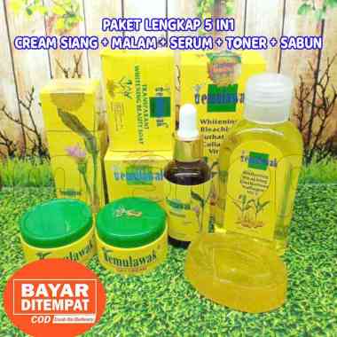 PAKET LENGKAP CREAM TEMULAWAK ORIGINAL 5in1 HOLOGRAM