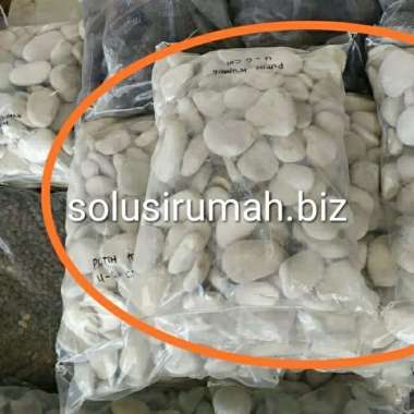BATU ALAM PEBBLE PUTIH 40-60MM KORAL HIAS PUTIH KUPANG PER 1KG batu