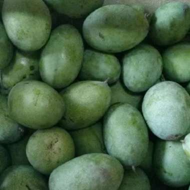 Mangga manalagi - buah mangga manalagi madu - 1kg