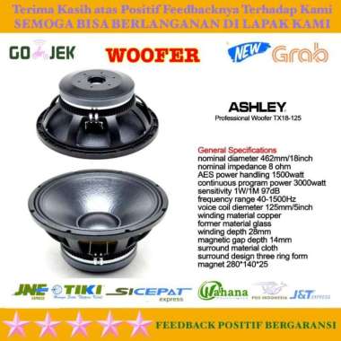 SPEAKER WOOFER ASHLEY TX18-125 ( 18 INCH ) ORIGINAL