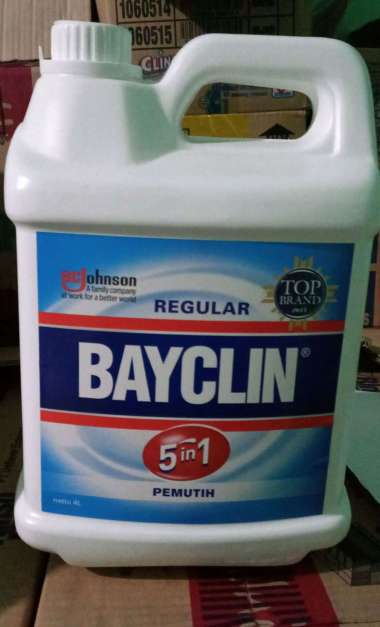 Bayclin 4Liter