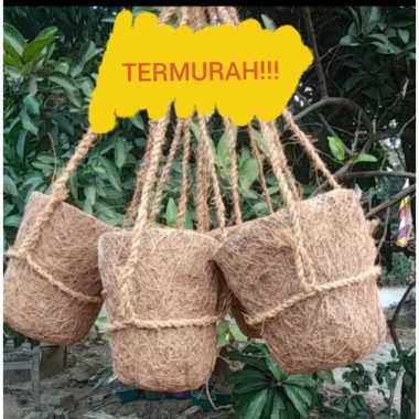 Pot anggrek gantung bagus untuk anggrek