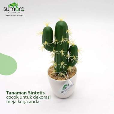 Tanaman Sintetis / Tanaman Palsu Kaktus