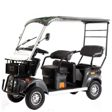 Uwinlfy KT2 Kendaraan Listrik Roda 4-sejenis Mobil Golf dengan Power Motor 800W Battery Kering 60V 3