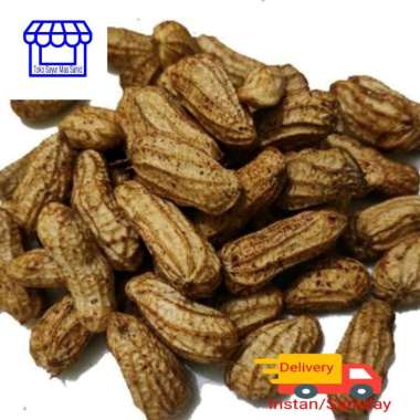 Kacang Tanah Kulit Kacang Kulit Mentah 500 gram