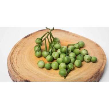 Buah Takokak / Rimbang / Terung Pipit / Cepokak Pokak Segar 1/2 KG