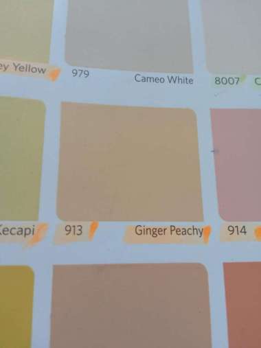 Cat Tembok 913 Ginger Peachy Krem Vinilex 5 kg Interior Dinding Rumah
