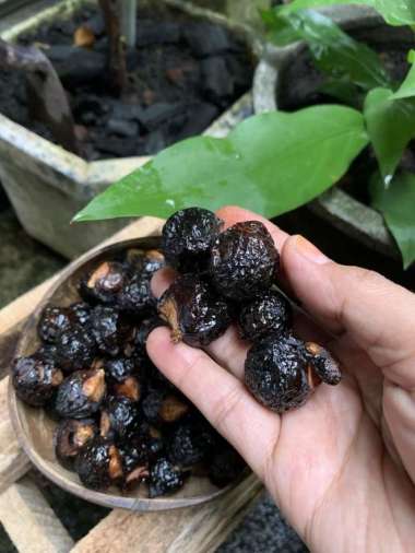 Buah Lerak 1 Kg