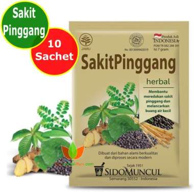 obat sakit pinggang sebelah kanan bagian belakang 18