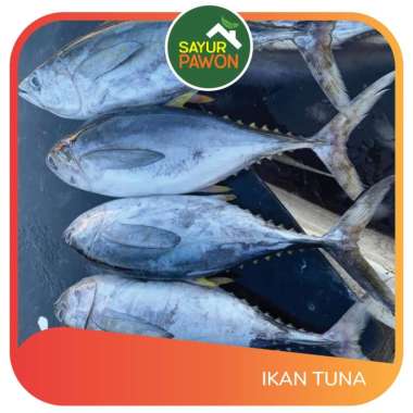 Ikan Tuna Segar per 500 gr - Sayur Pawon Jogja