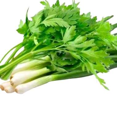 Daun Bawang Seledri