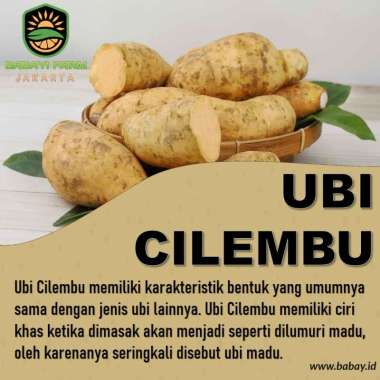 ubi cilembu ketela 250 500 gr / 1 kg 1 KG