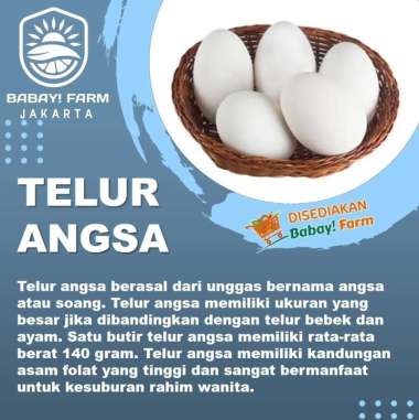 Telur Angsa 1 Butir
