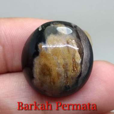 Fosil Batu Galih Kelor Hitam Coklat asli n 1588 Hitam Coklat
