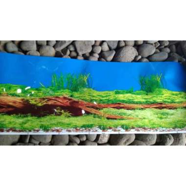 Wallpaper Aquarium 3d Batu Image Num 64