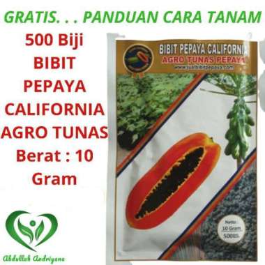Bibit Pepaya California 10 Gr  500 Biji Benih Pepaya California -