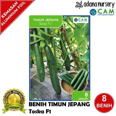 Benih / Biji Timun Jepang - Toska F1 - Berkualitas - Repack 8 Seeds