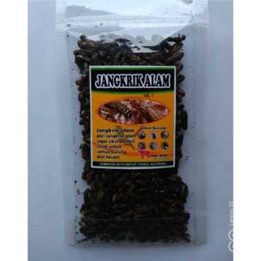 Jangkrik Alam Kering 25 Gram