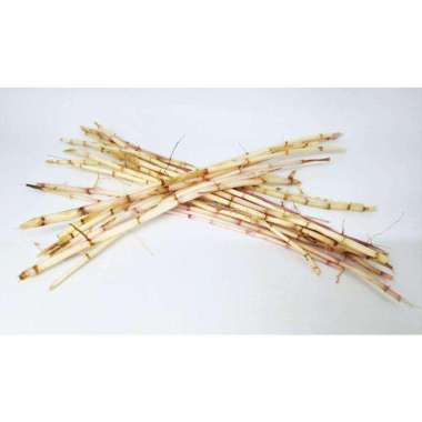 supernova mart Akar Alang-alang 500gram