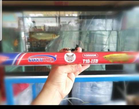 Lampu tanning sakkai pro T10 LED 600 lampu tanning arwana 60 cm 27 w