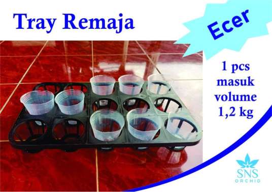 Tray semai anggrek remaja pot flexibel sedang 15 lubang Multicolor