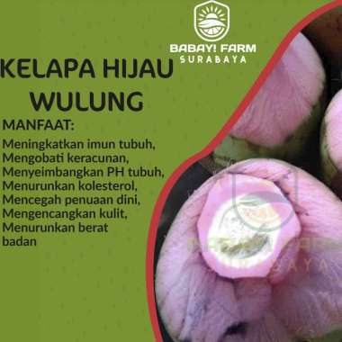 Jual Kelapa Muda Online Terbaru November 2021 Blibli