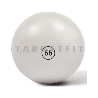 reebok gym ball 55cm