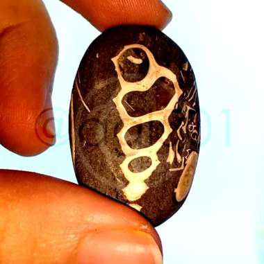 Batu Mulia Natural Turritella Agate Chalcedony (Fosil Keong) Asli Alam Bukan Sintetis