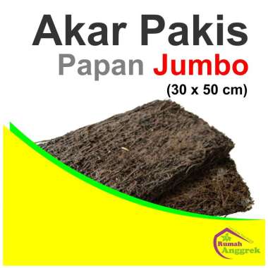 Media Akar Pakis Papan Lempeng Jumbo anggrek tanam simbar panjang sedang super besar
