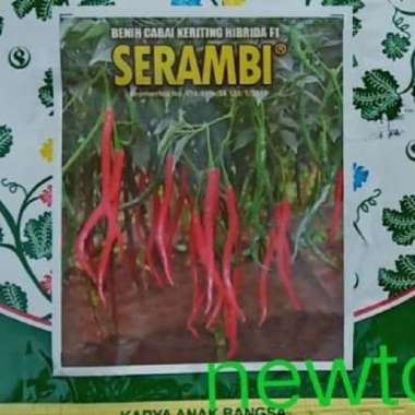 Benih bibit cabe keriting hibrida SERAMBI F1 60 Butir kemasan kecil
