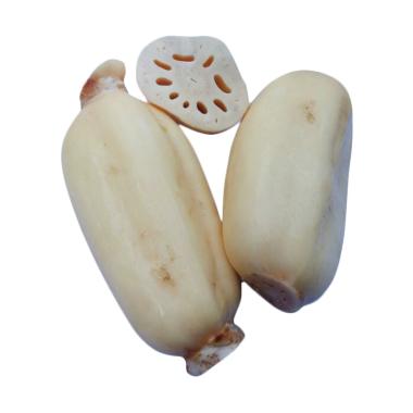 DUTA BUAH PUSAT Akar Teratai RRC [900g - 1 kg]