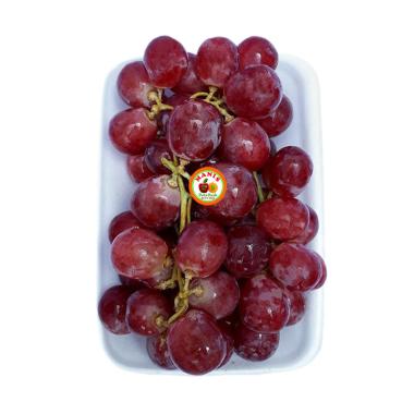 63+ Gambar Anggur Red Globe Terbaik 63+ Gambar Anggur Red Globe Terbaik