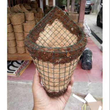 Pot bunga akar kadaka moss hitam