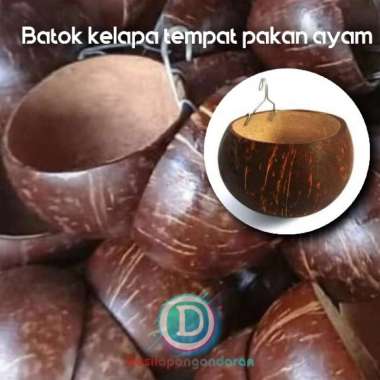 batok kelapa tempat pakan ayam paket 12 pcs - wadah pakan ayam jago