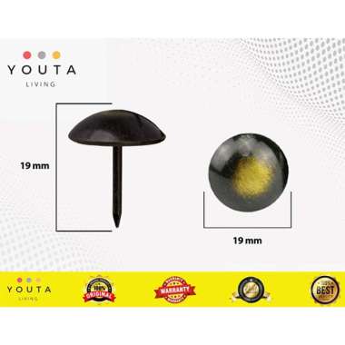 PAKU MATA KUCING PAKU PINES BLACK GOLD