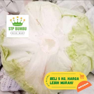 Sayur Letuce Head Segar 1kg / Lettuce / Letus Fresh