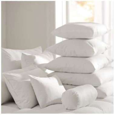 Cushion Insert/ Isi Bantal Sofa 30x30