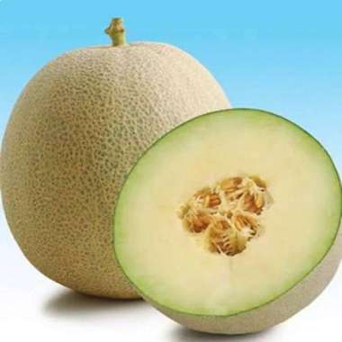 Buah Melon 1 Butir 1.5kg - 2 kg