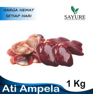 ATI AMPELA AYAM