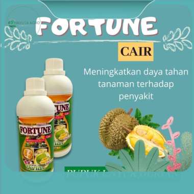 Pupuk Durian Agar Cepat Besar, Pupuk Cair Untuk Durian, Fortune Pemicu Agar Berbuah Lebat