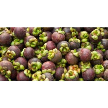 Buah Manggis 1KG