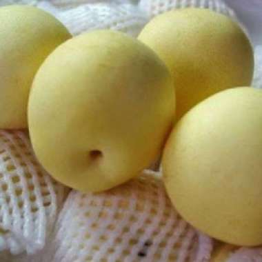 Buah Pear Century / Pir Century 1KG