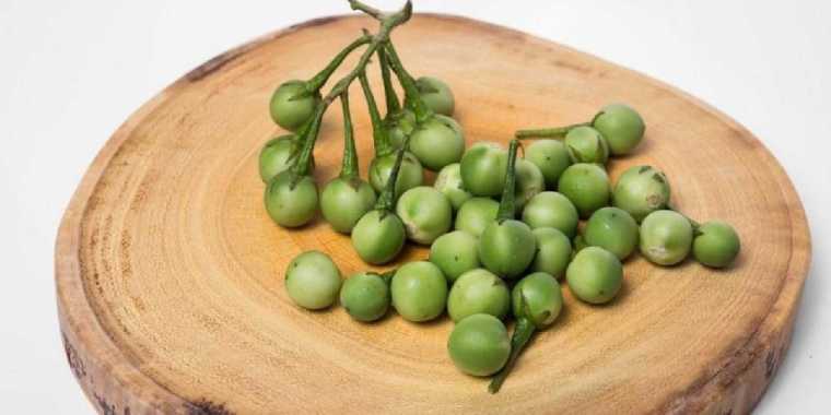 Buah Takokak / Rimbang / Terung Pipit / Cepokak Pokak Segar 1/4 KG