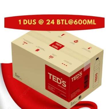 TED'S AIR MINERAL 600 ML [ 1 DUS @ 24 BTL ]