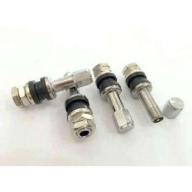 Pentil BAN Tubles Motor/MOBIL BESI DRAT DALAM PANJANG Silver