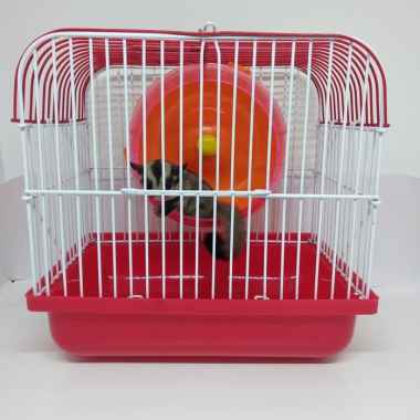 Jual Kantong Tidur Sleeping Pouch Big Size Untuk Sugar Glider Tupai Hamster Online November 2020 Blibli
