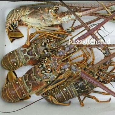 Jual Super Aa Bangka Terasi Udang 1 Kg Online September 2020 Blibli Com